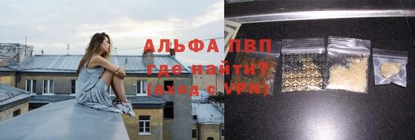спиды Богородск