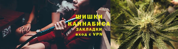 спиды Богородск