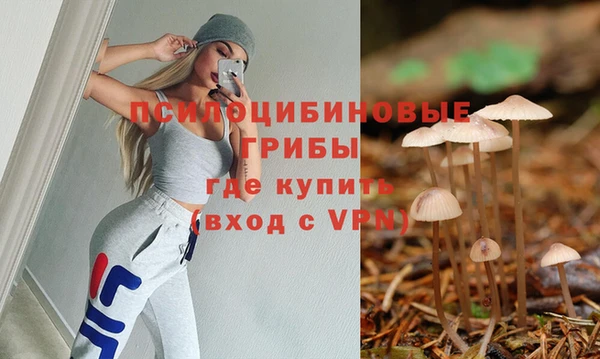 соль ск Бронницы