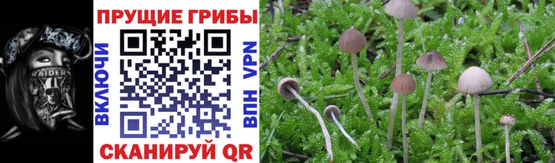 Псилоцибиновые грибы ЛСД  Смоленск 